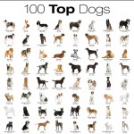 Dog breed pictures